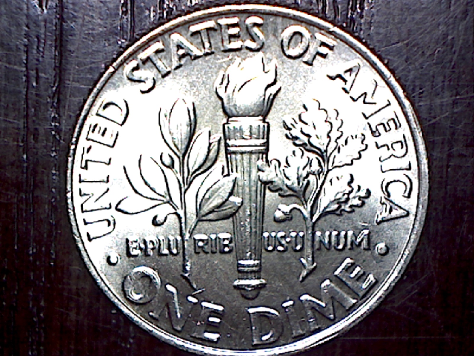Image21.jpg