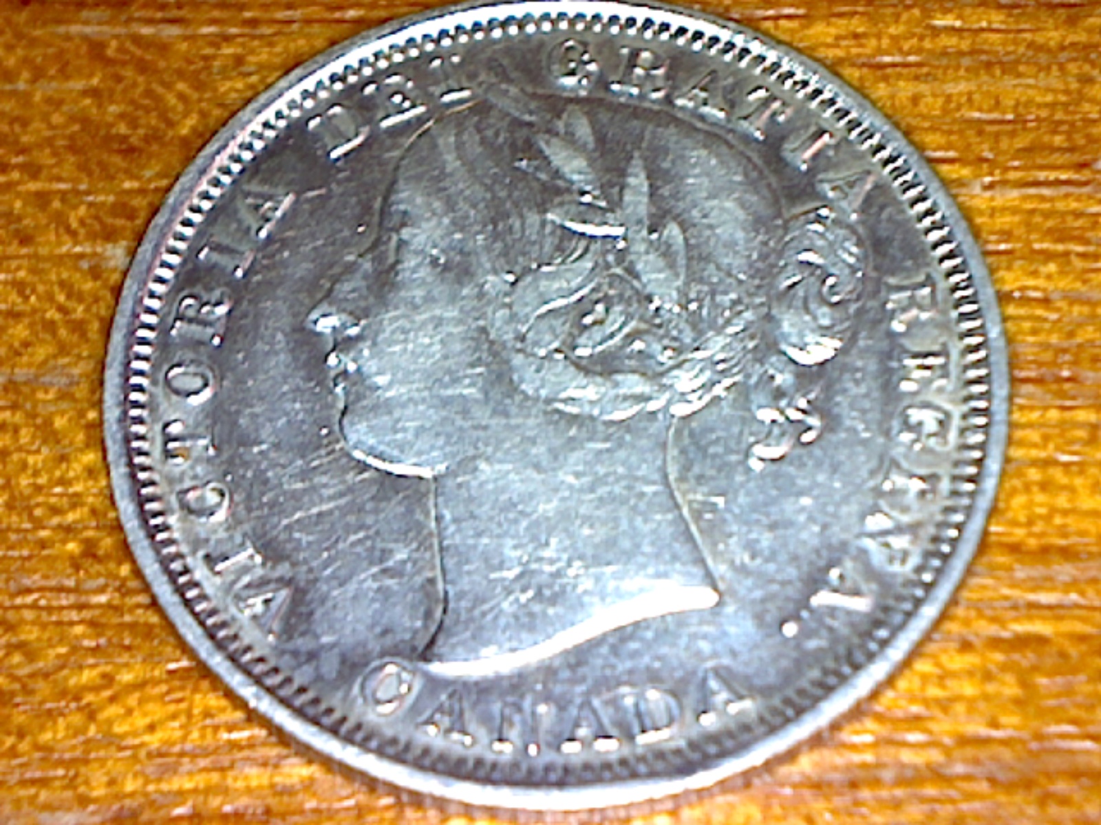 Image21.jpg