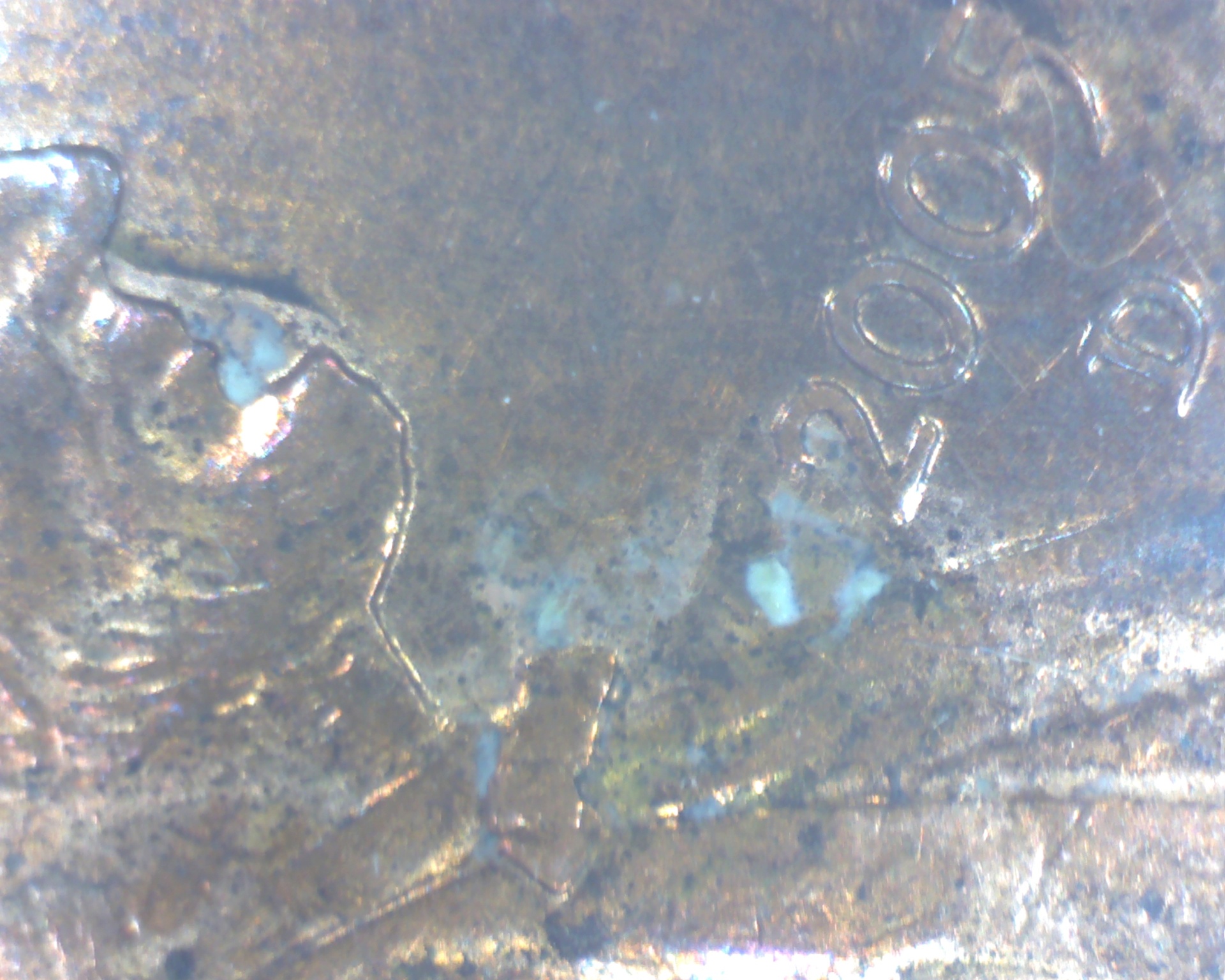 Image216.jpg