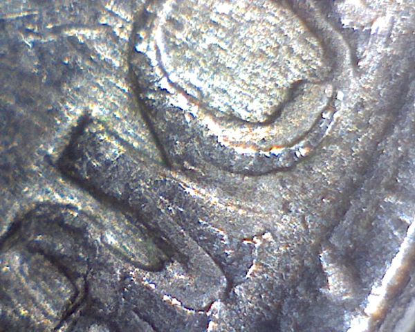 Image2301_opt.jpg