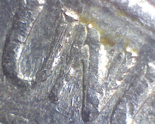 Image2303_opt.jpg