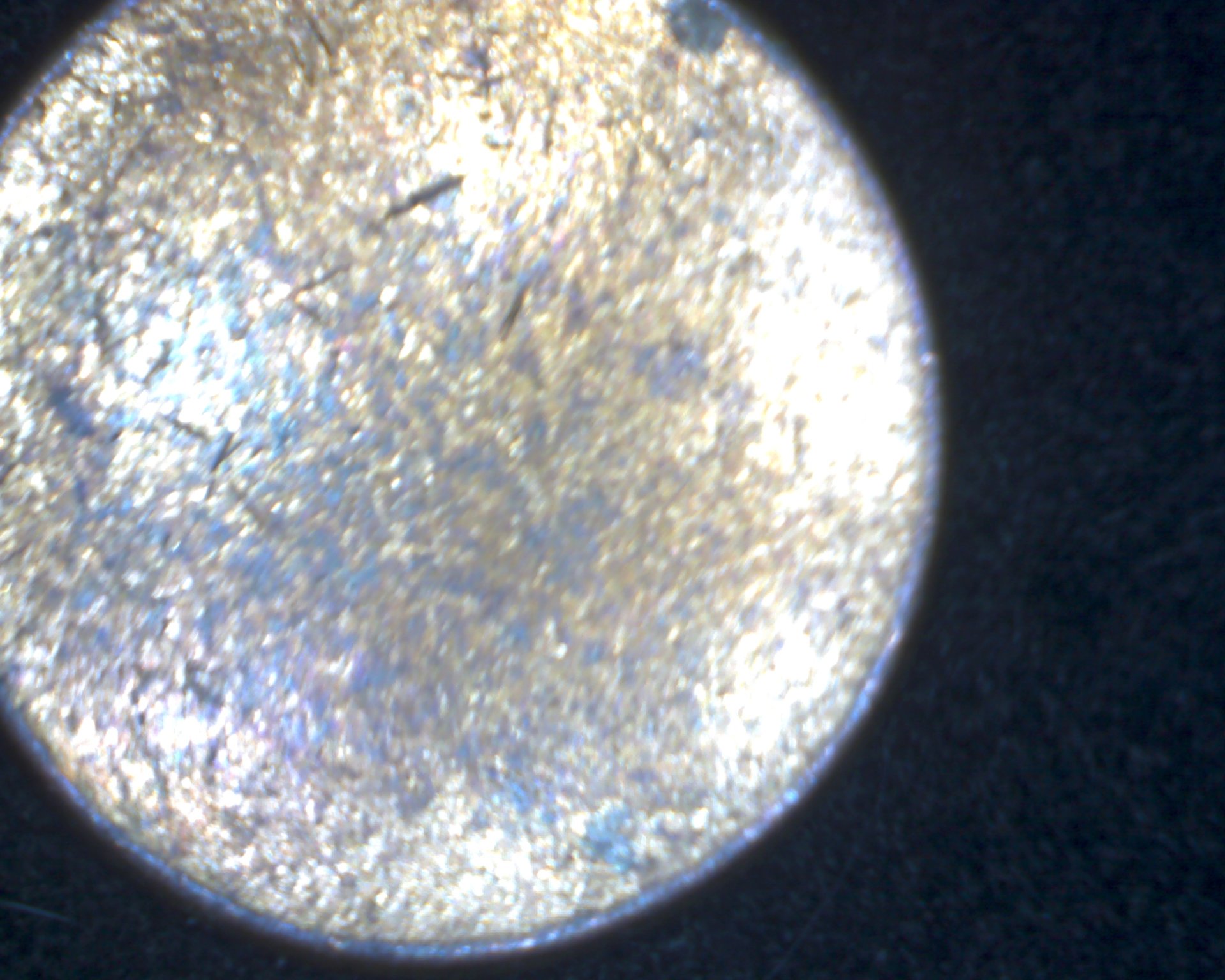 Image23454.jpg