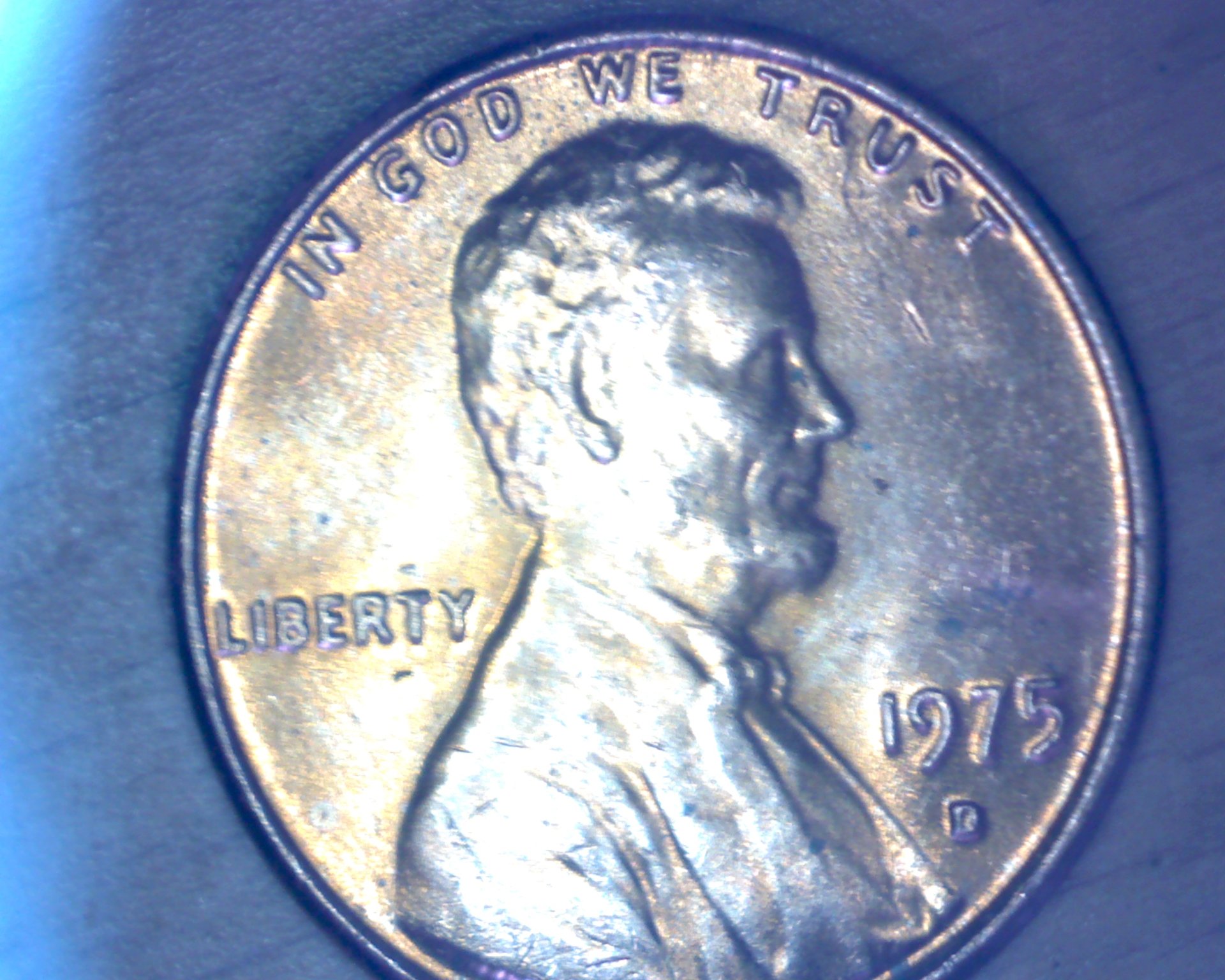 Image23779.jpg