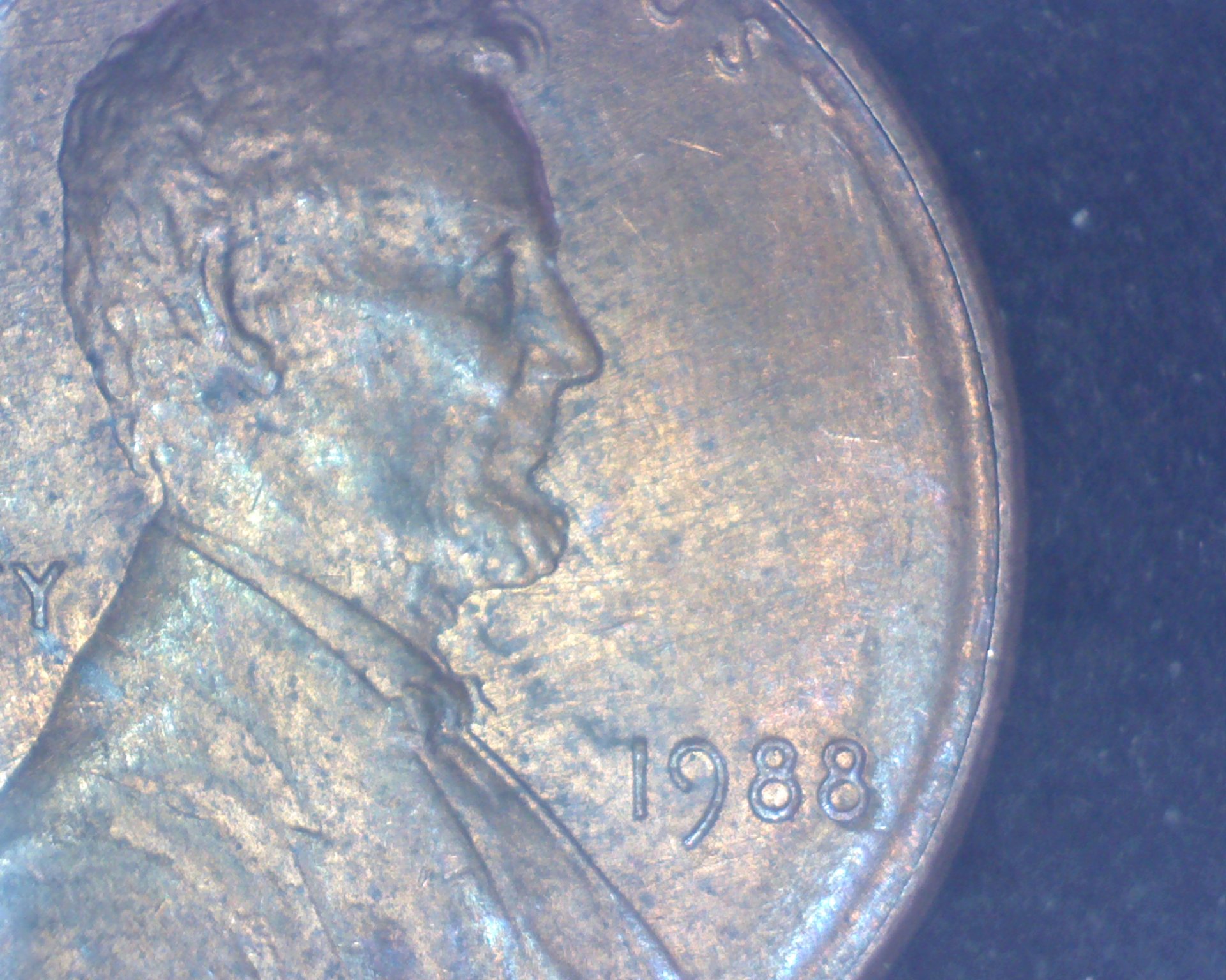 Image23828.jpg