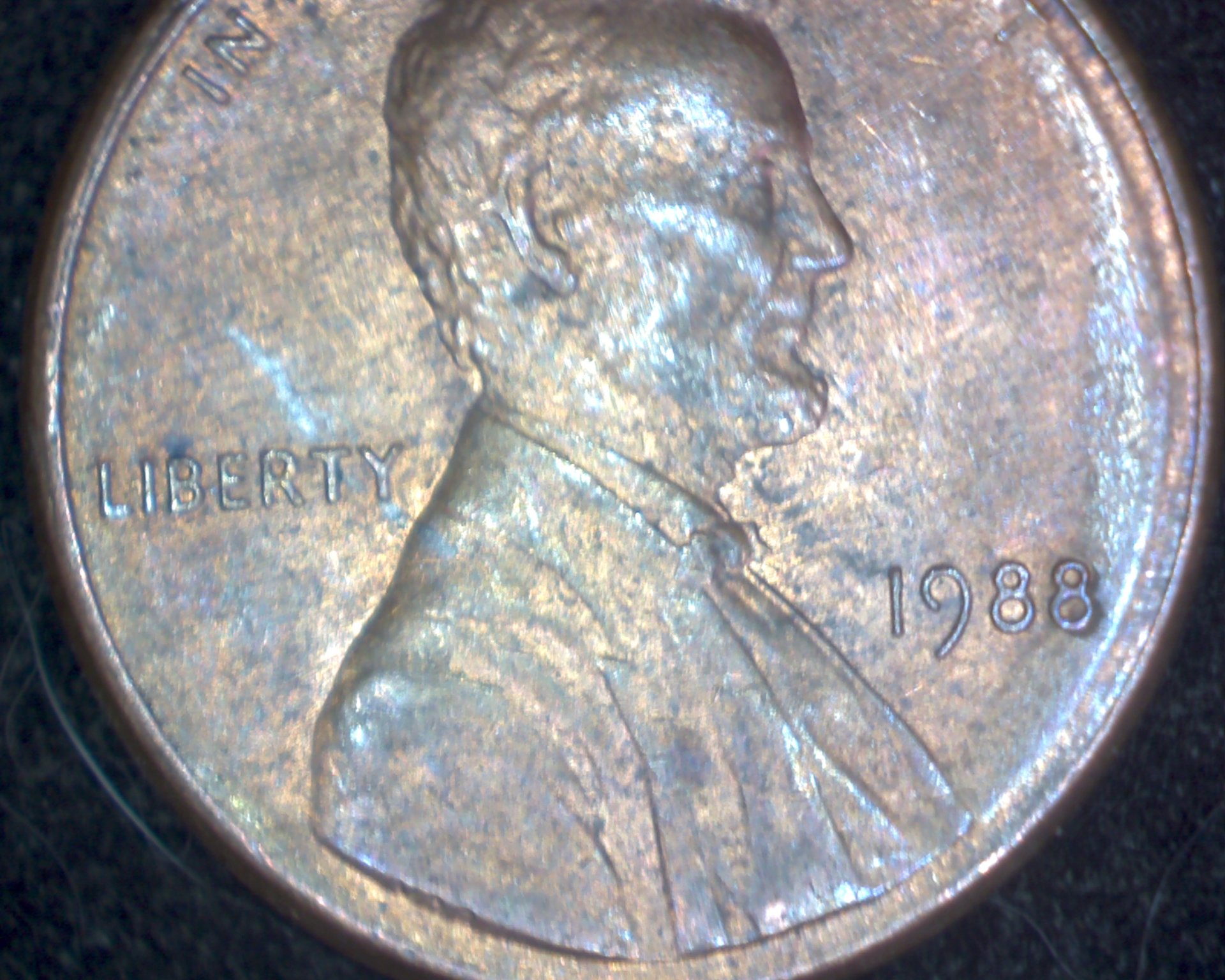 Image23829.jpg