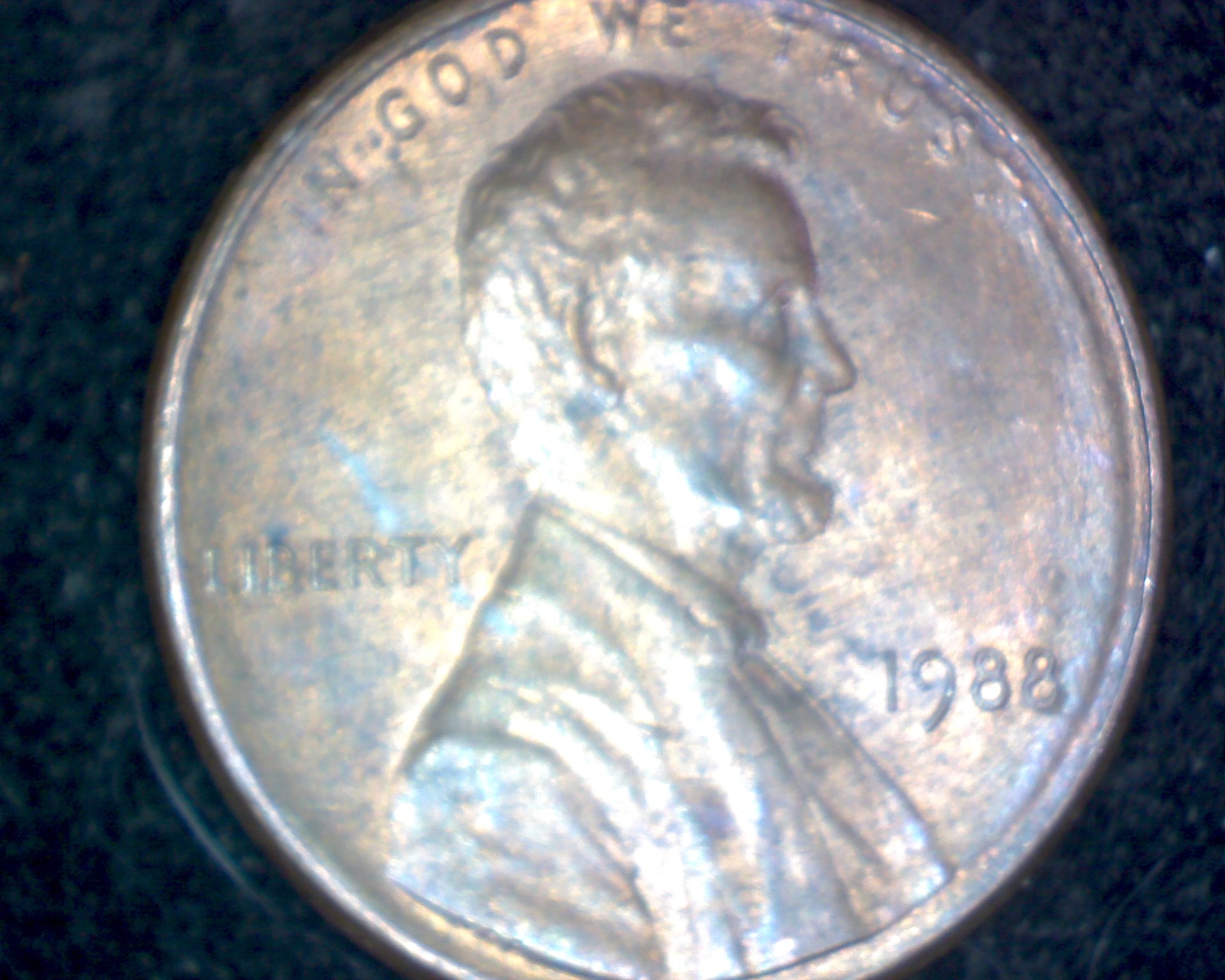 Image23831.jpg