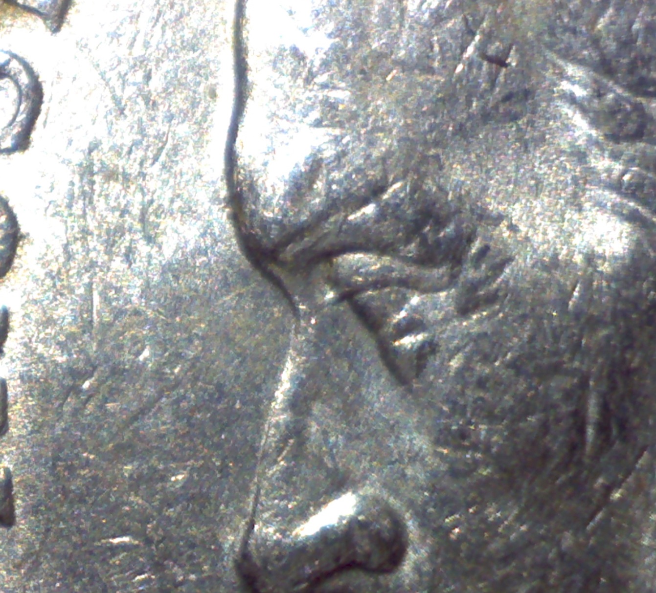 Image240.jpg