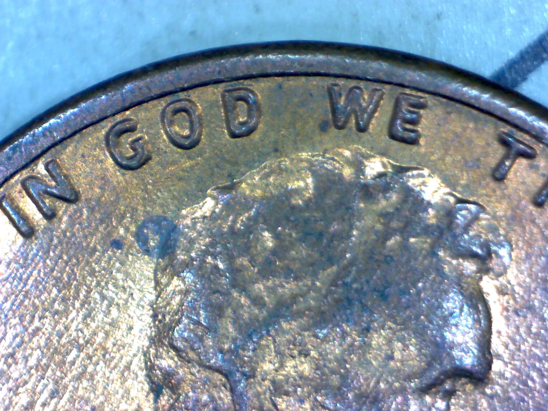 Image246.jpg