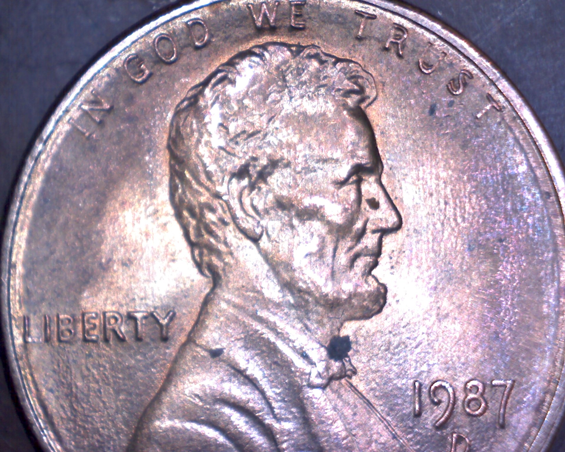 Image25.jpg