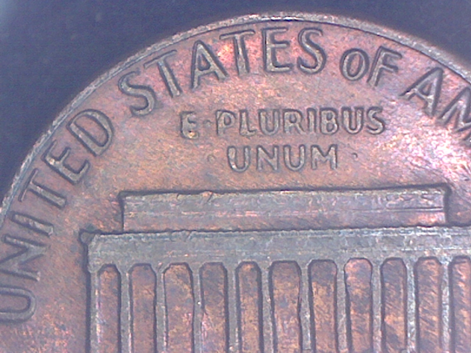 Image2516.jpg
