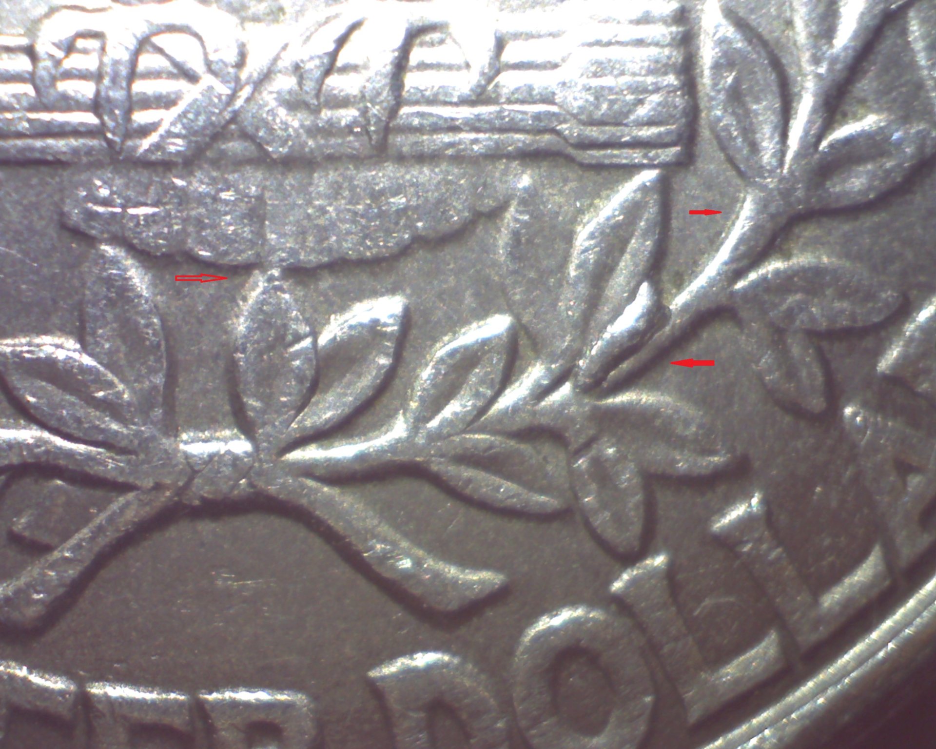 Image253.jpg