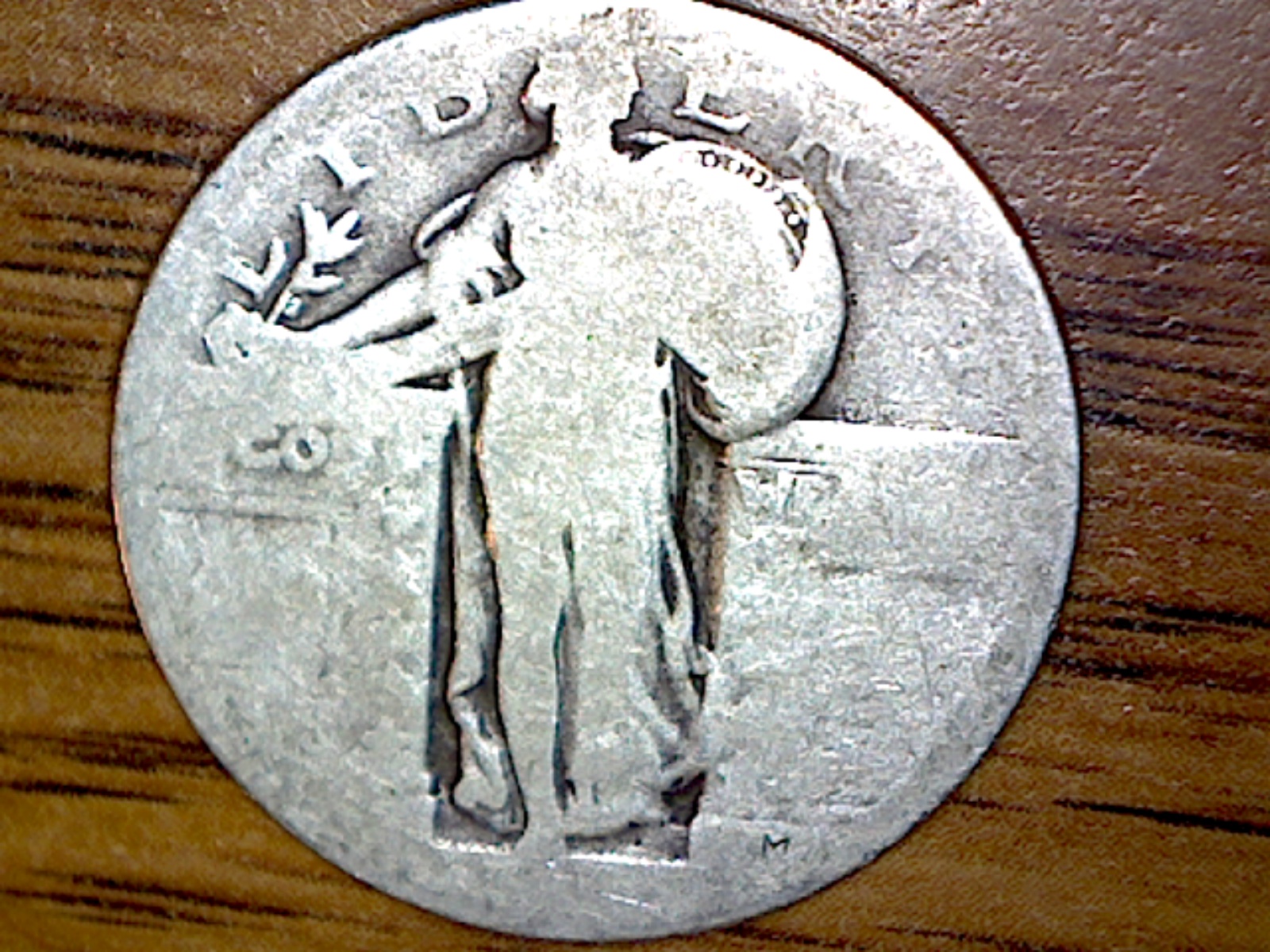 Image256.jpg