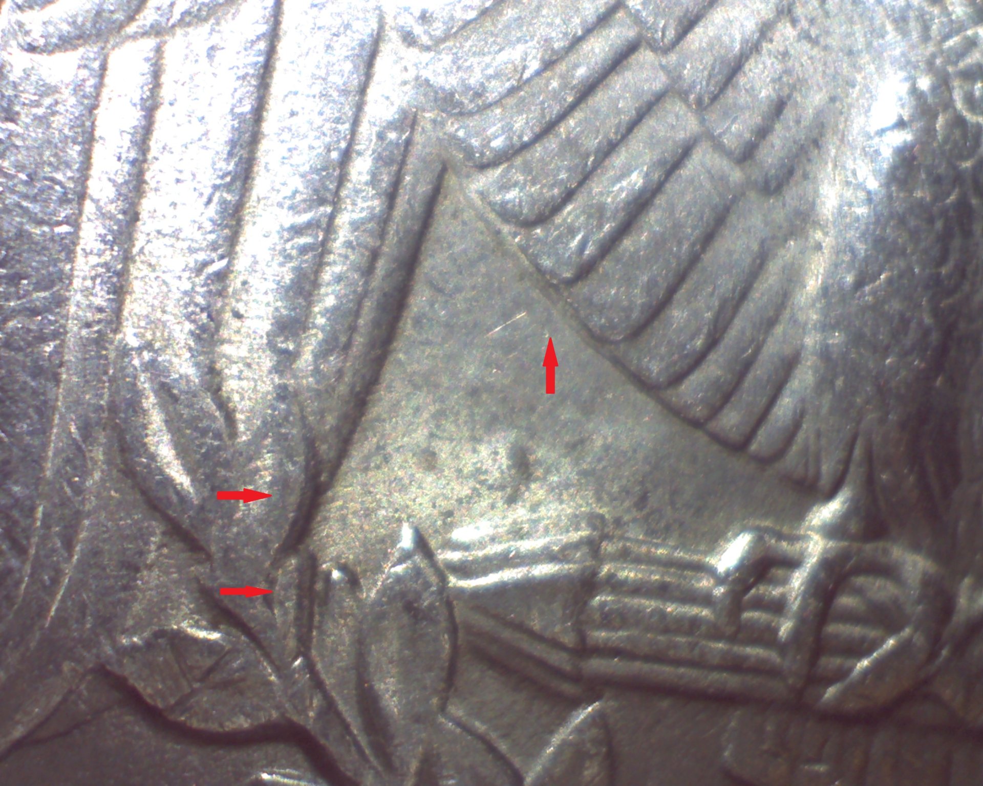 Image257.jpg