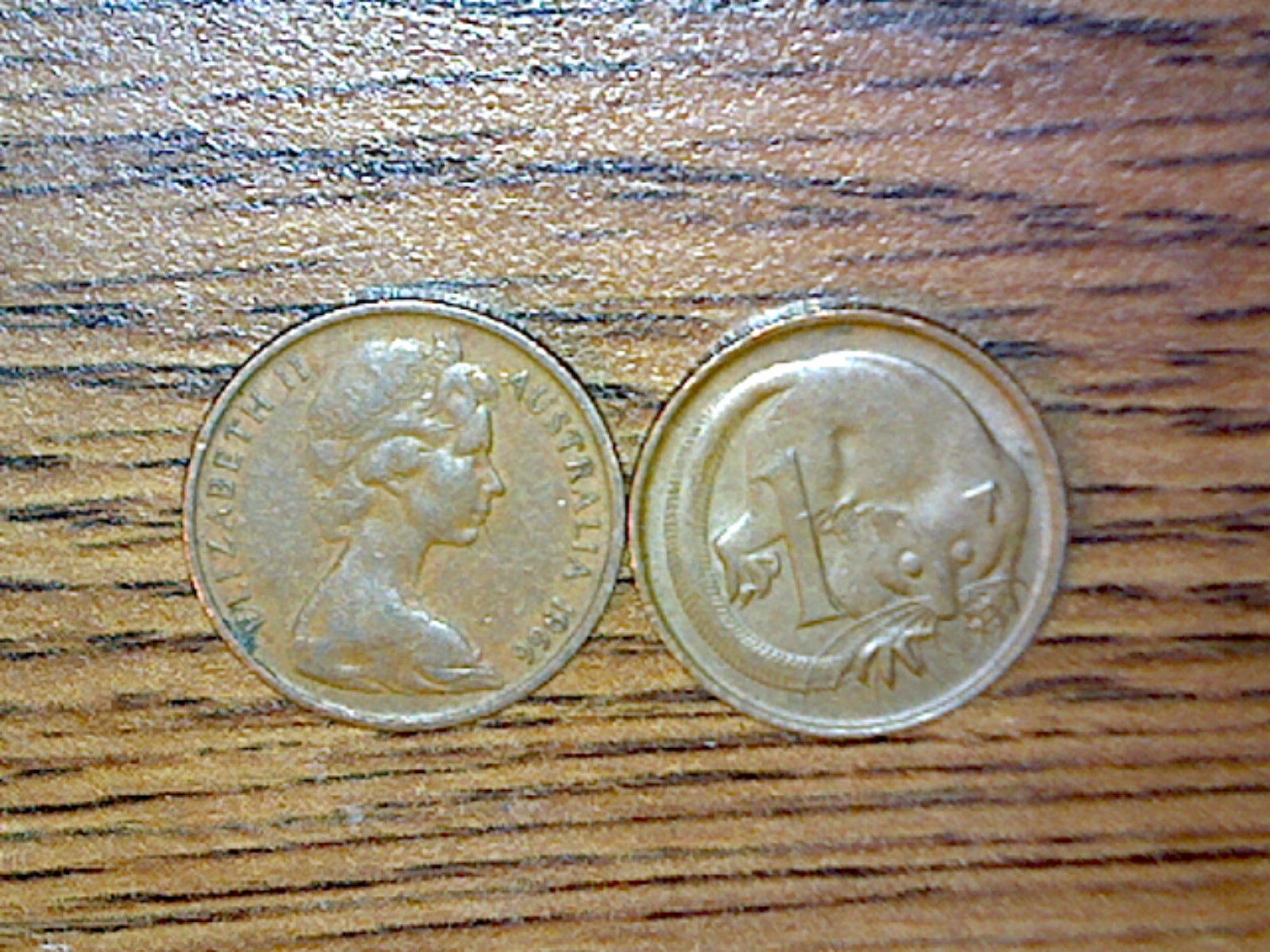 Image258.jpg