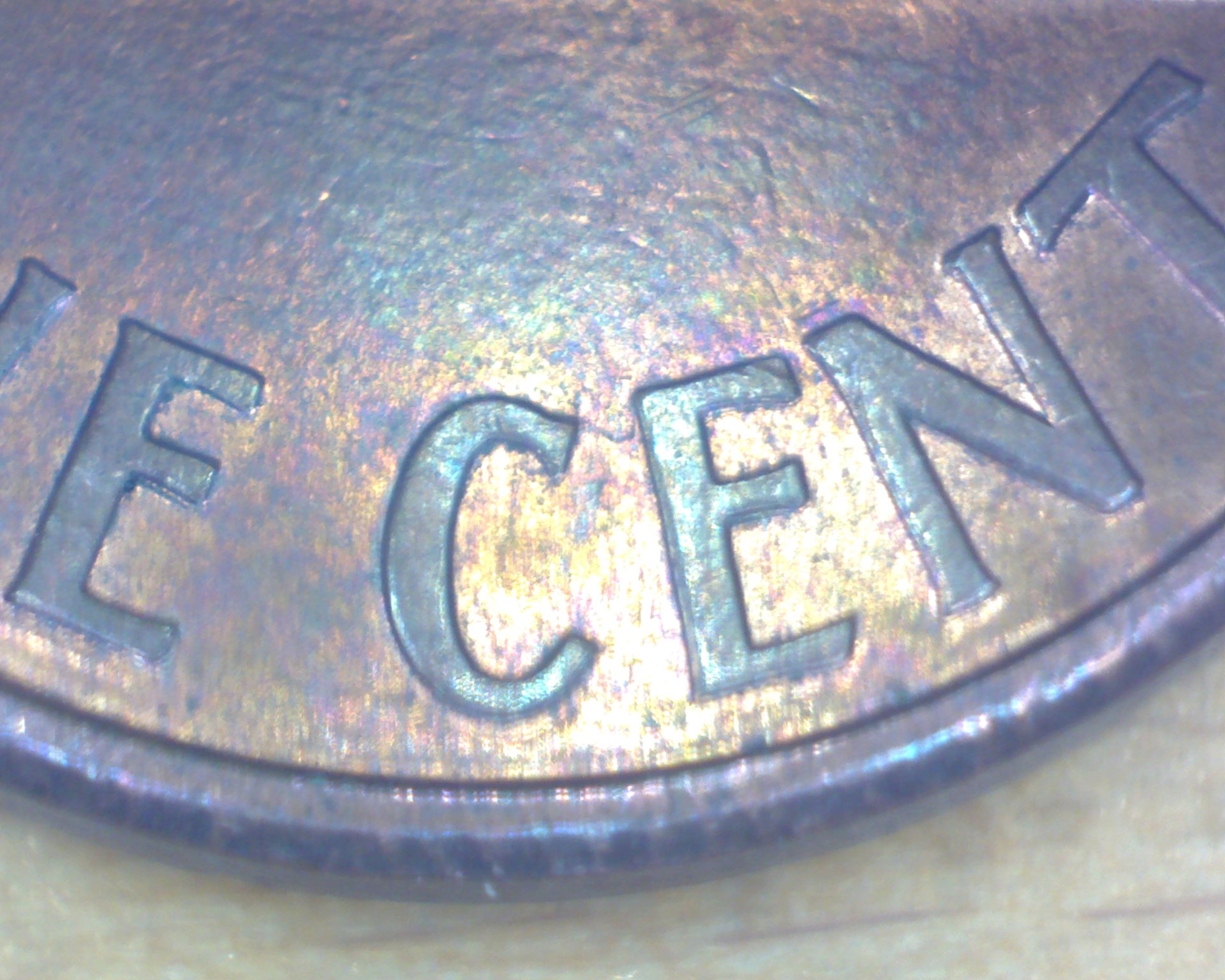 Image25881.jpg