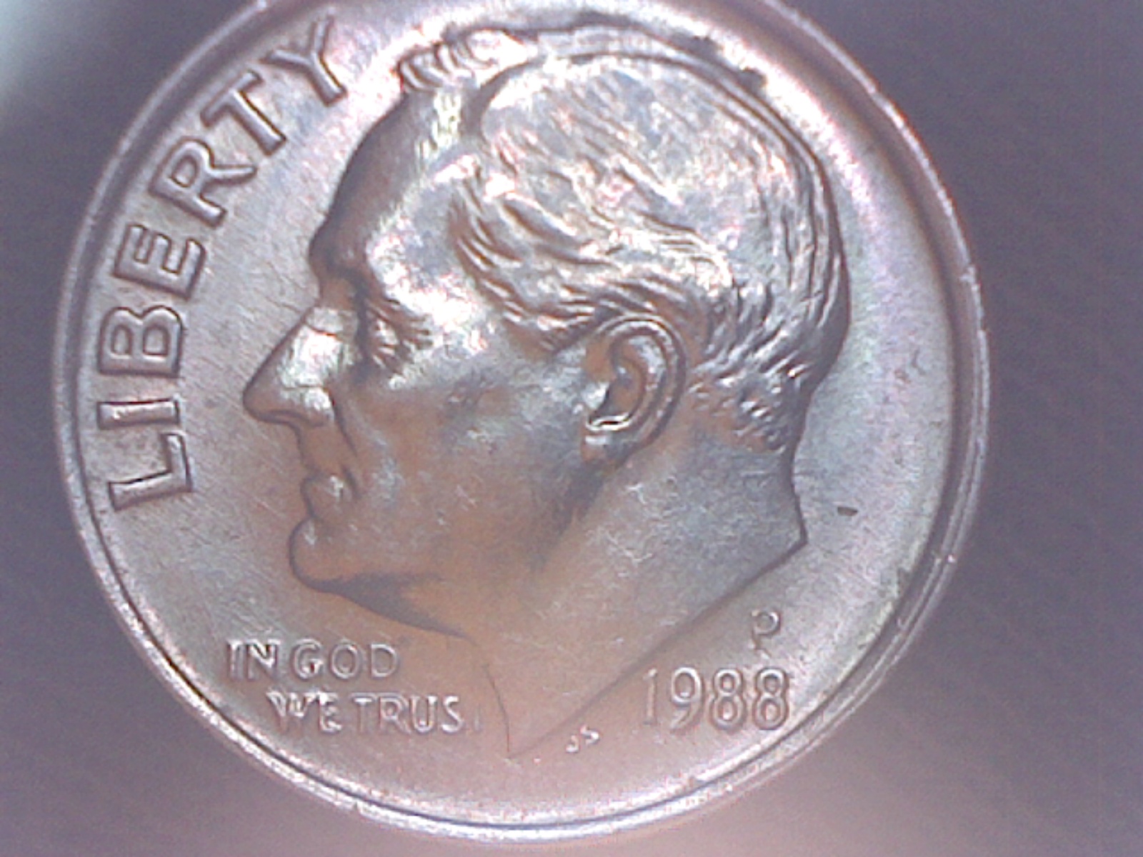Image261.jpg