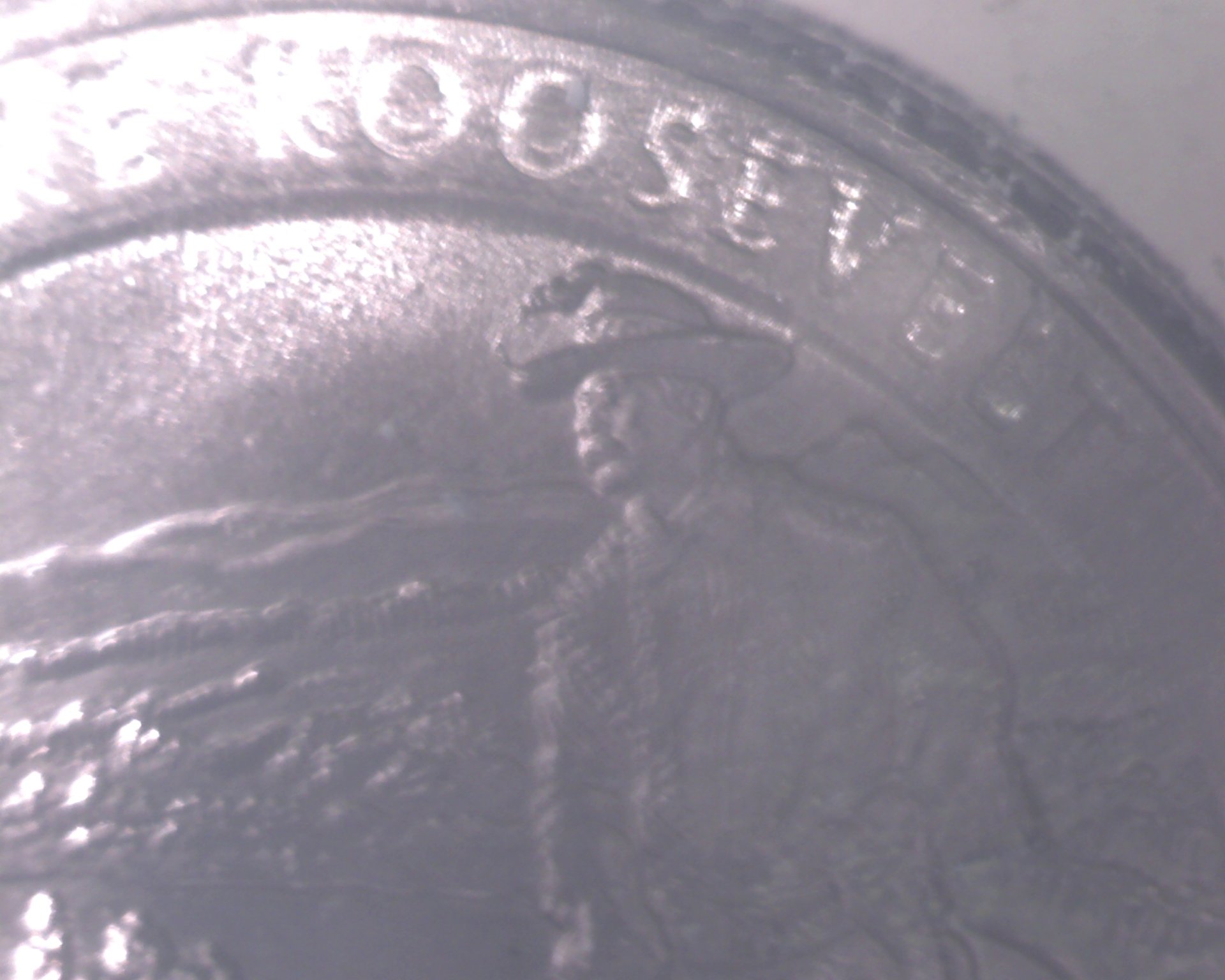 Image261.jpg