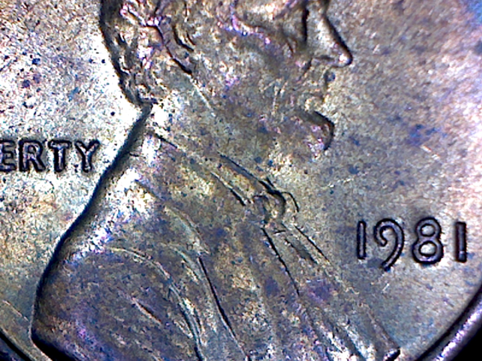 Image2617.jpg