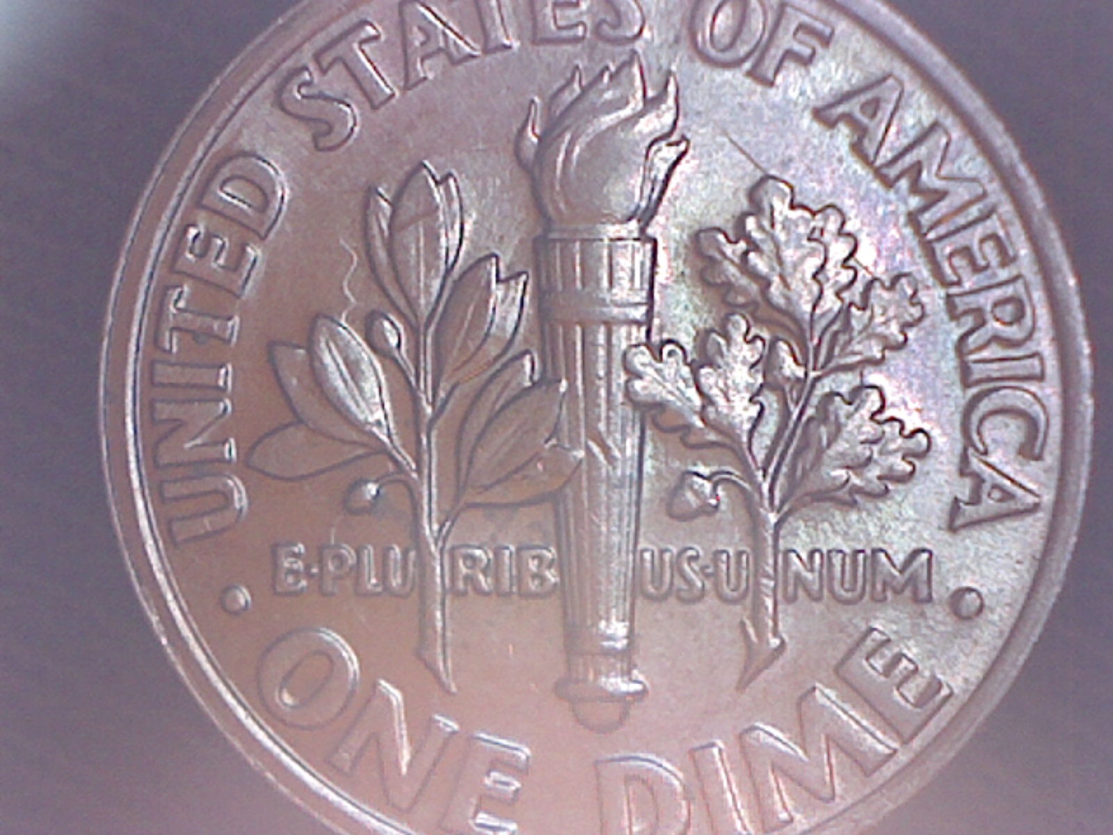 Image262.jpg