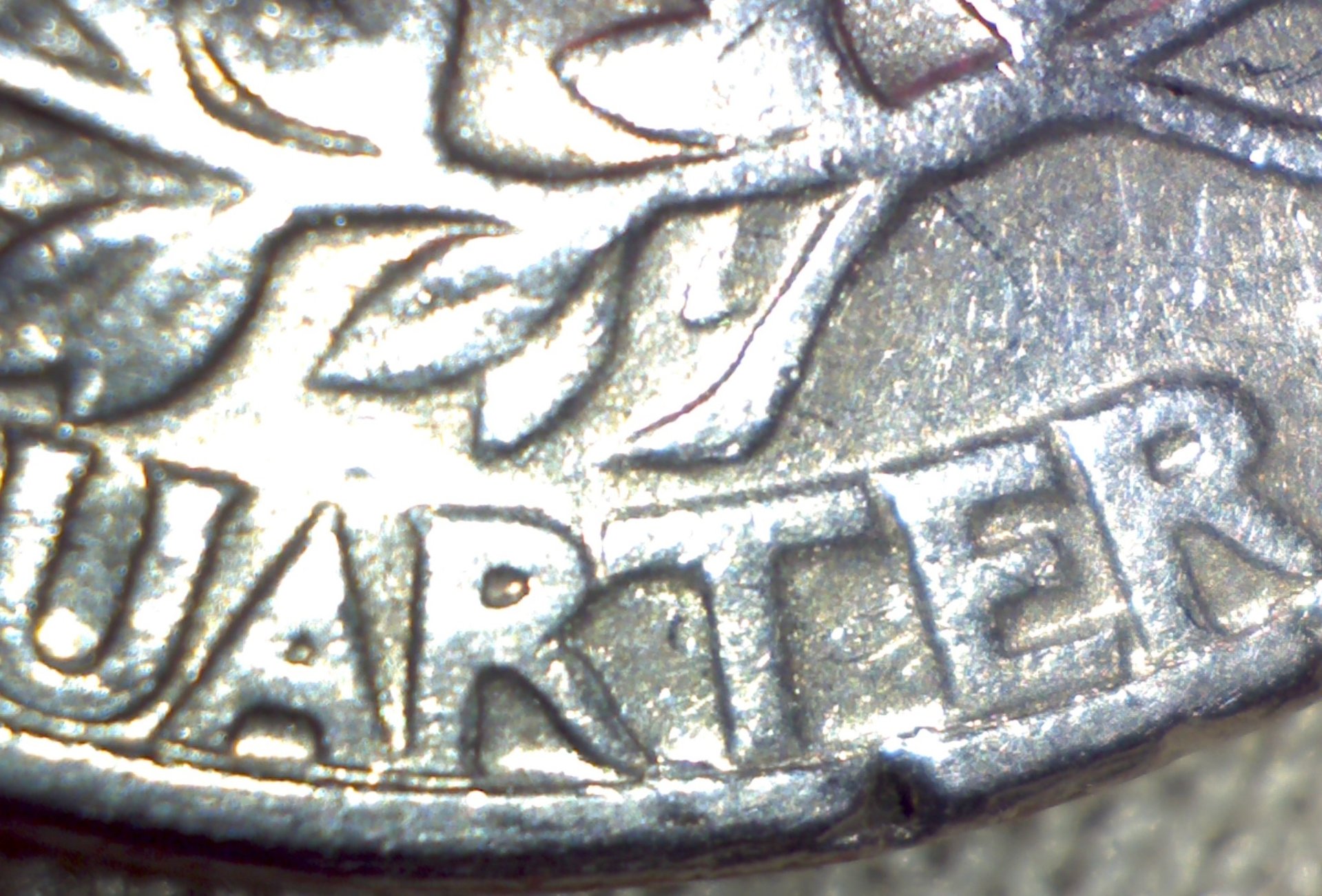 Image263.jpg