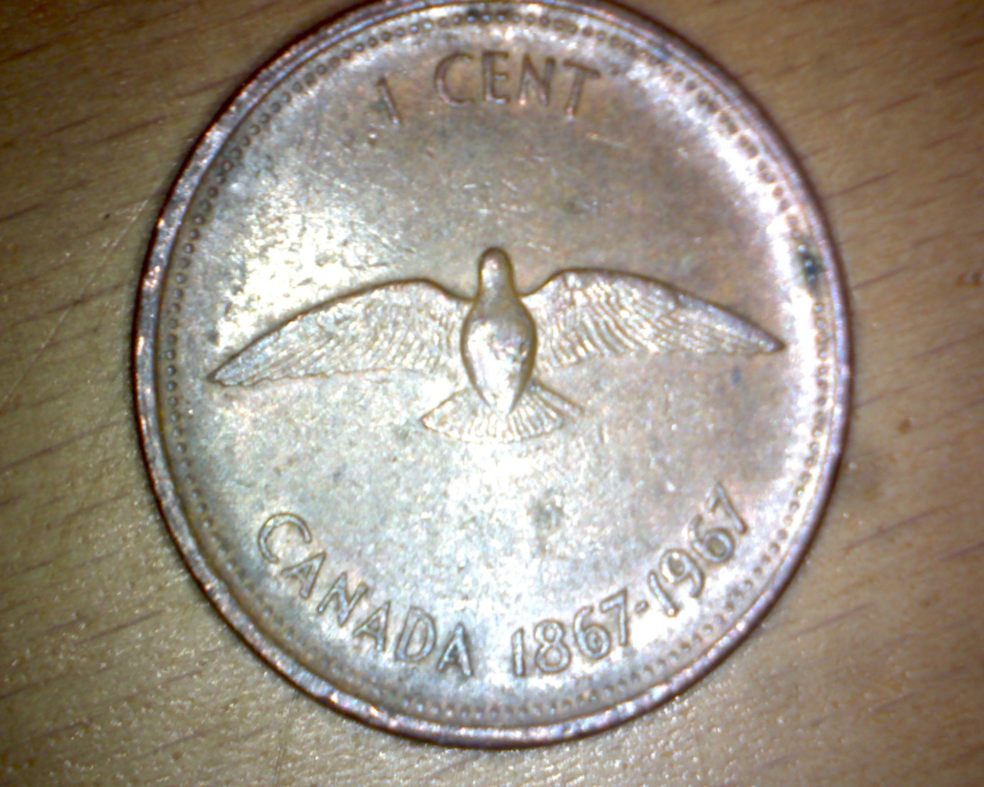 Image26639.jpg