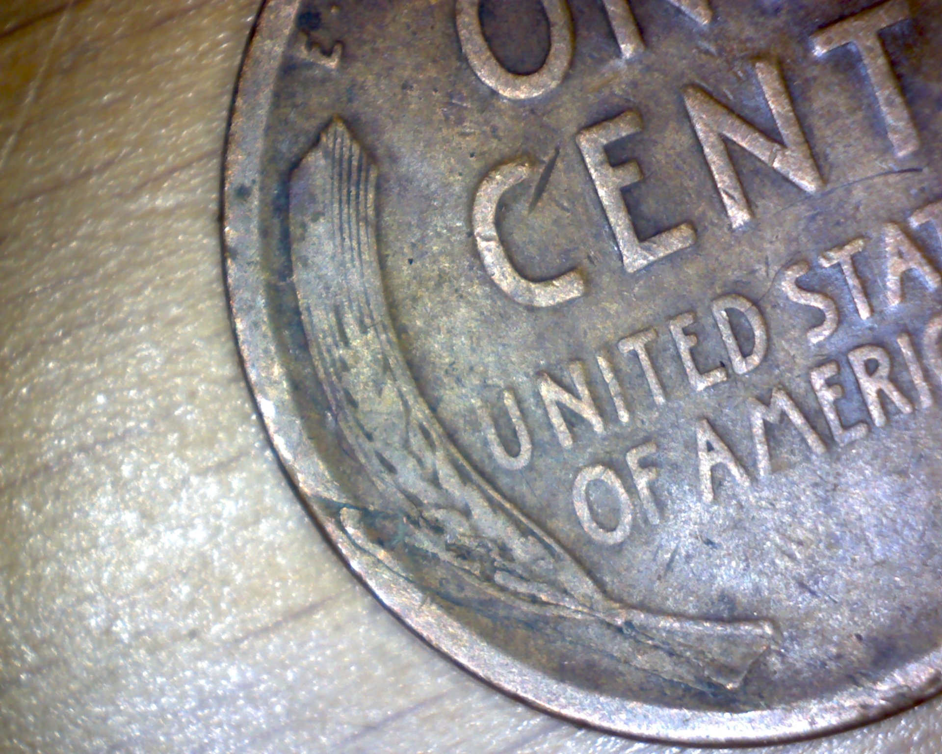 Image26684.jpg