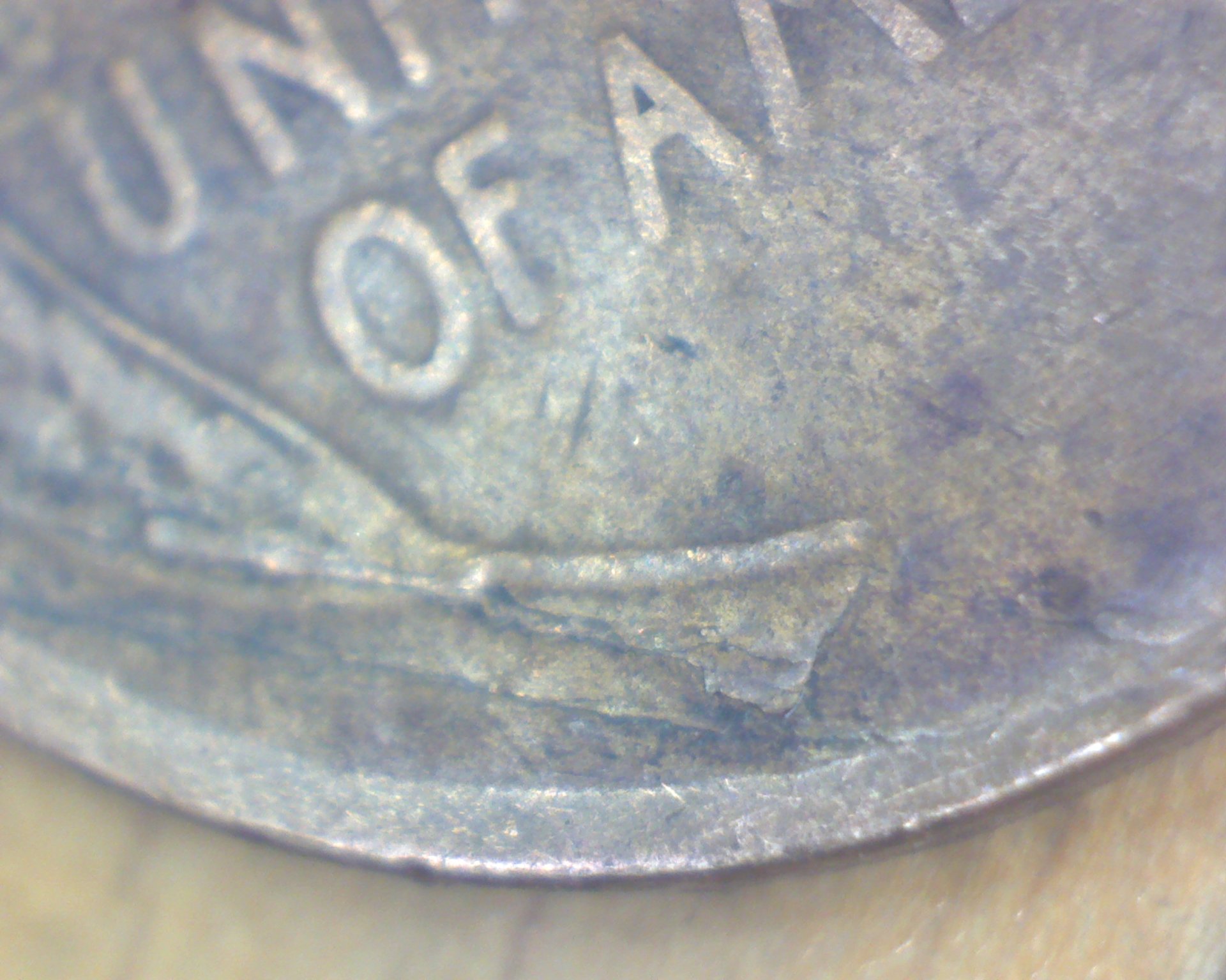Image26695.jpg