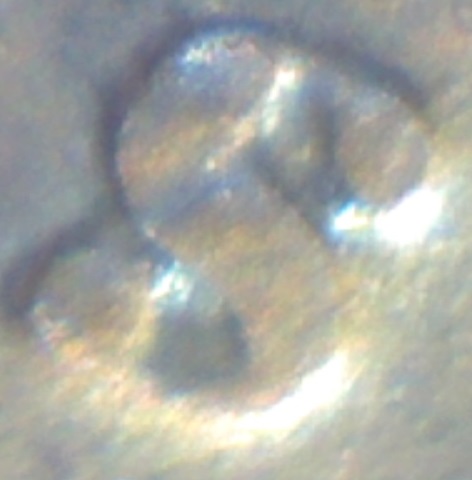 Image27.jpg