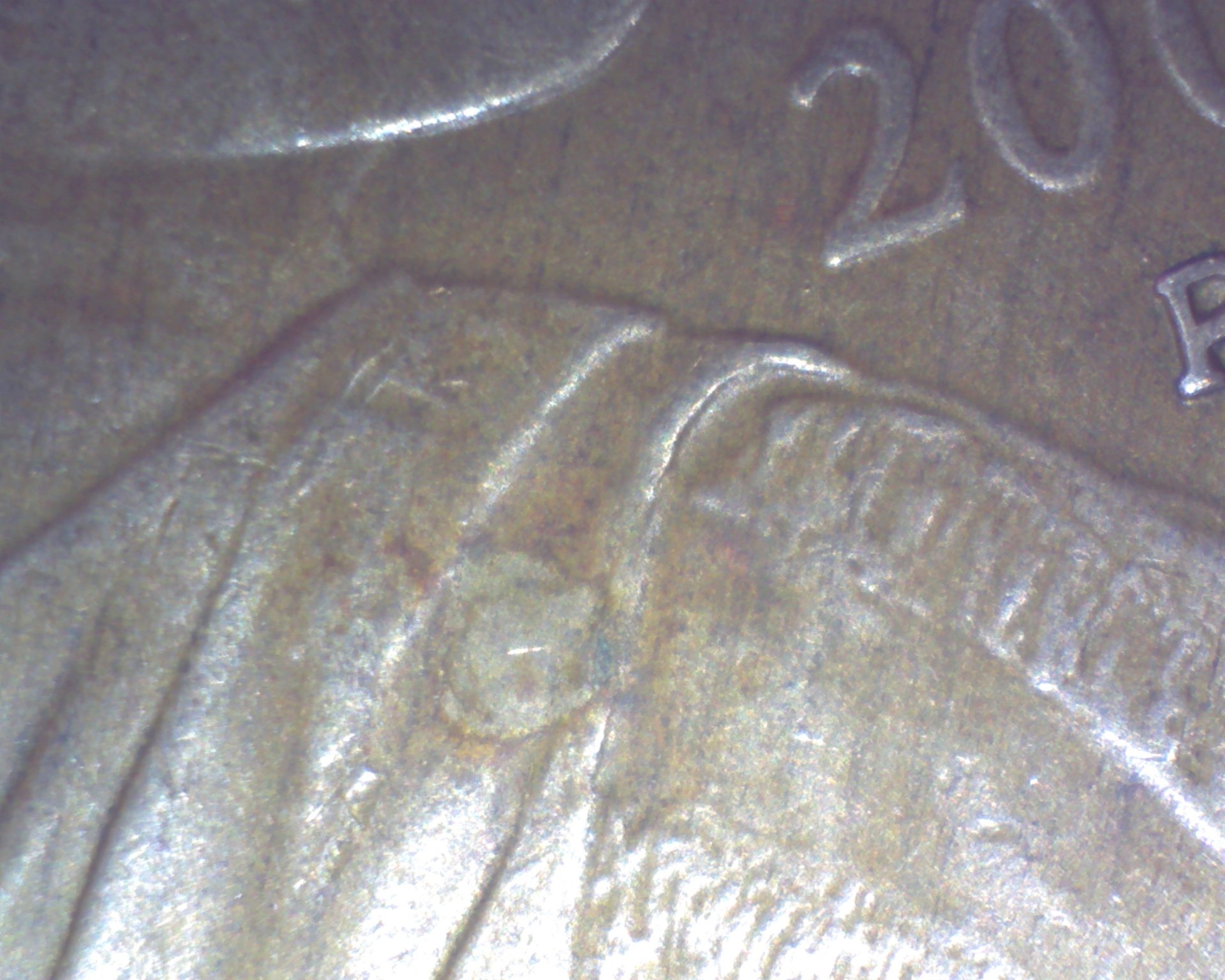 Image272.jpg