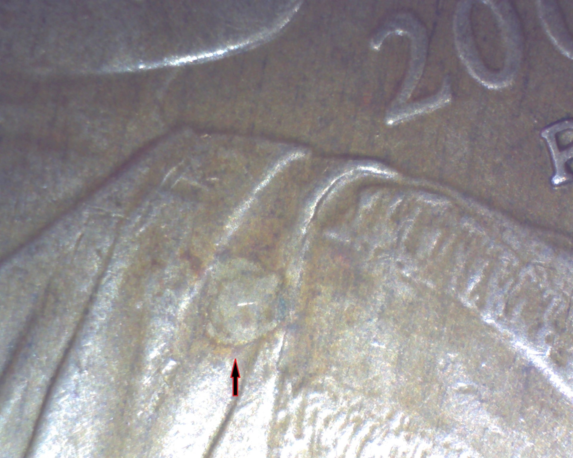 Image272.jpg