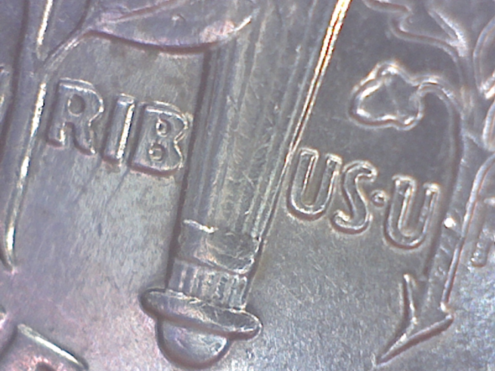 Image275.jpg
