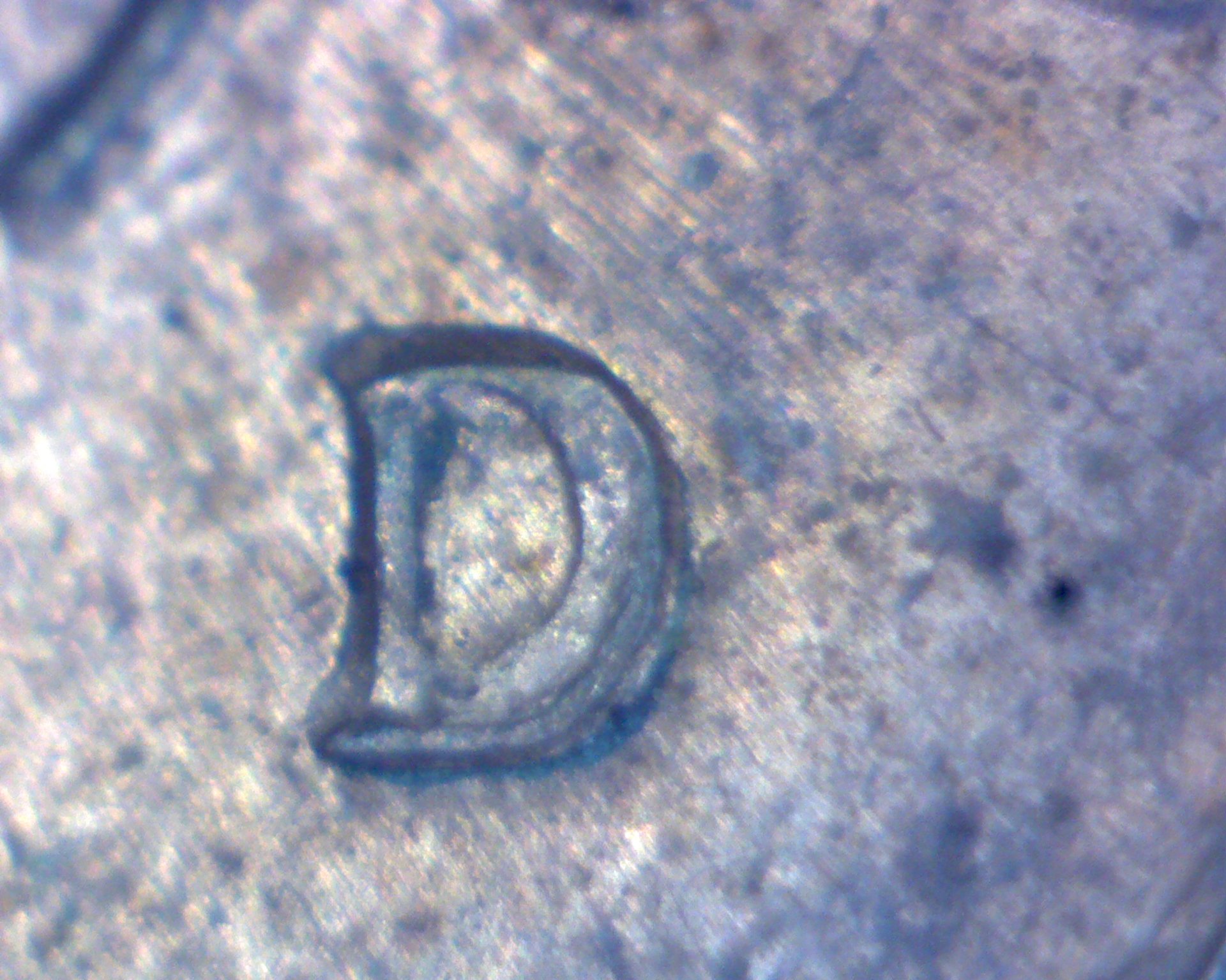 Image27552.jpg