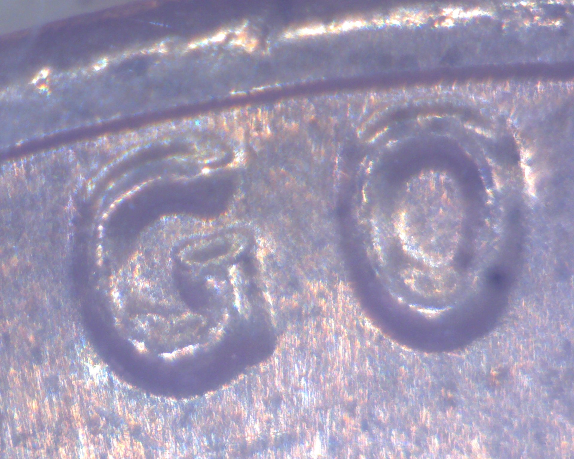 Image27572.jpg