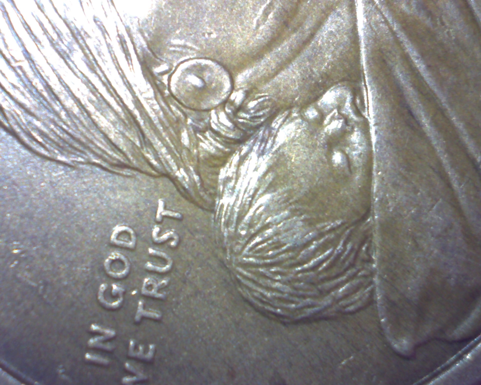 Image276.jpg