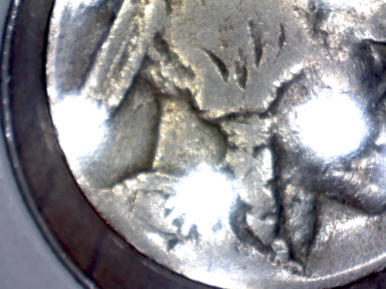 Image277.jpg