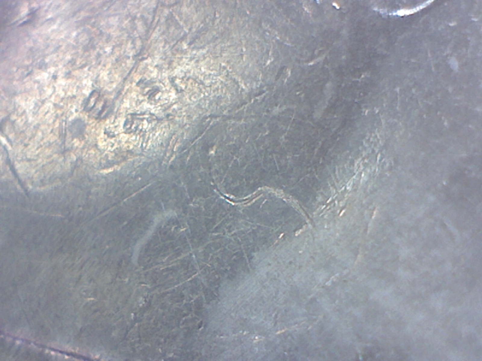 Image278.jpg