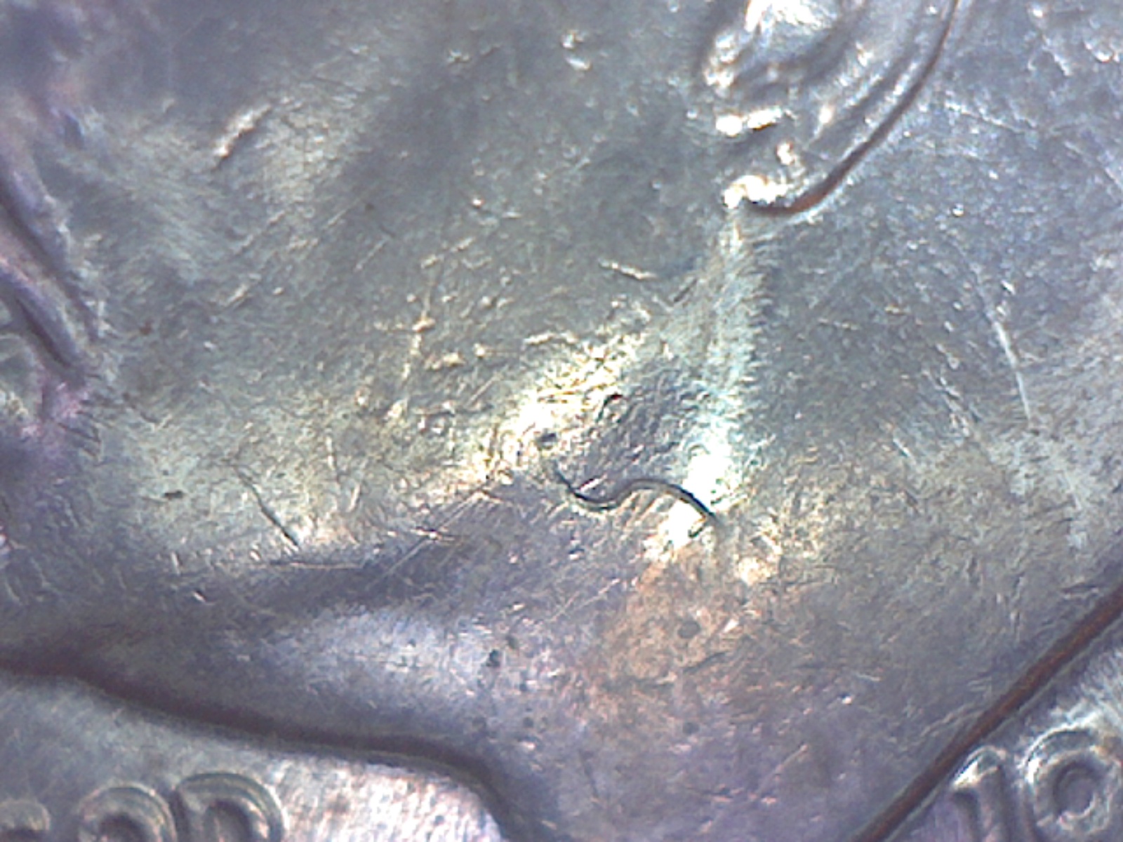 Image279.jpg