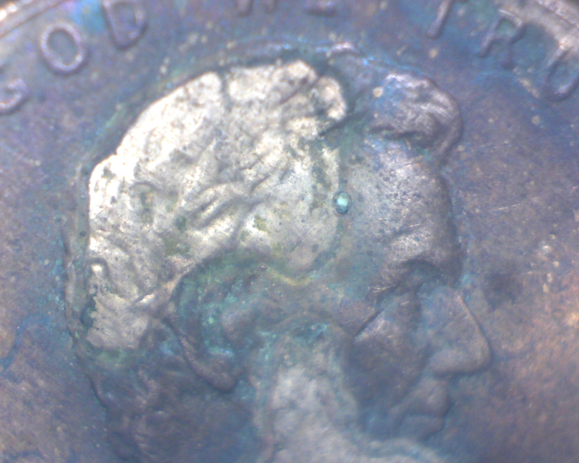 Image28001.jpg