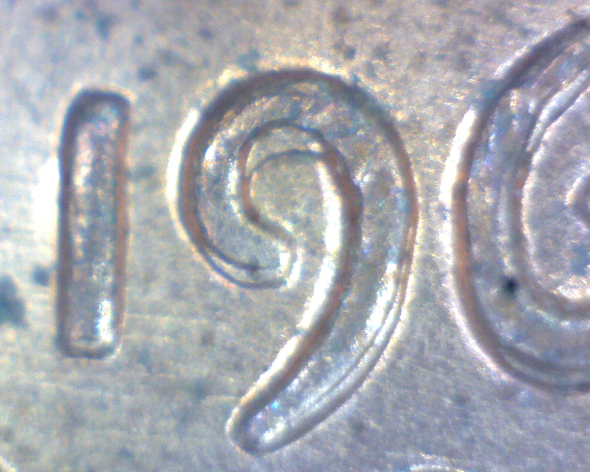 Image28150.jpg
