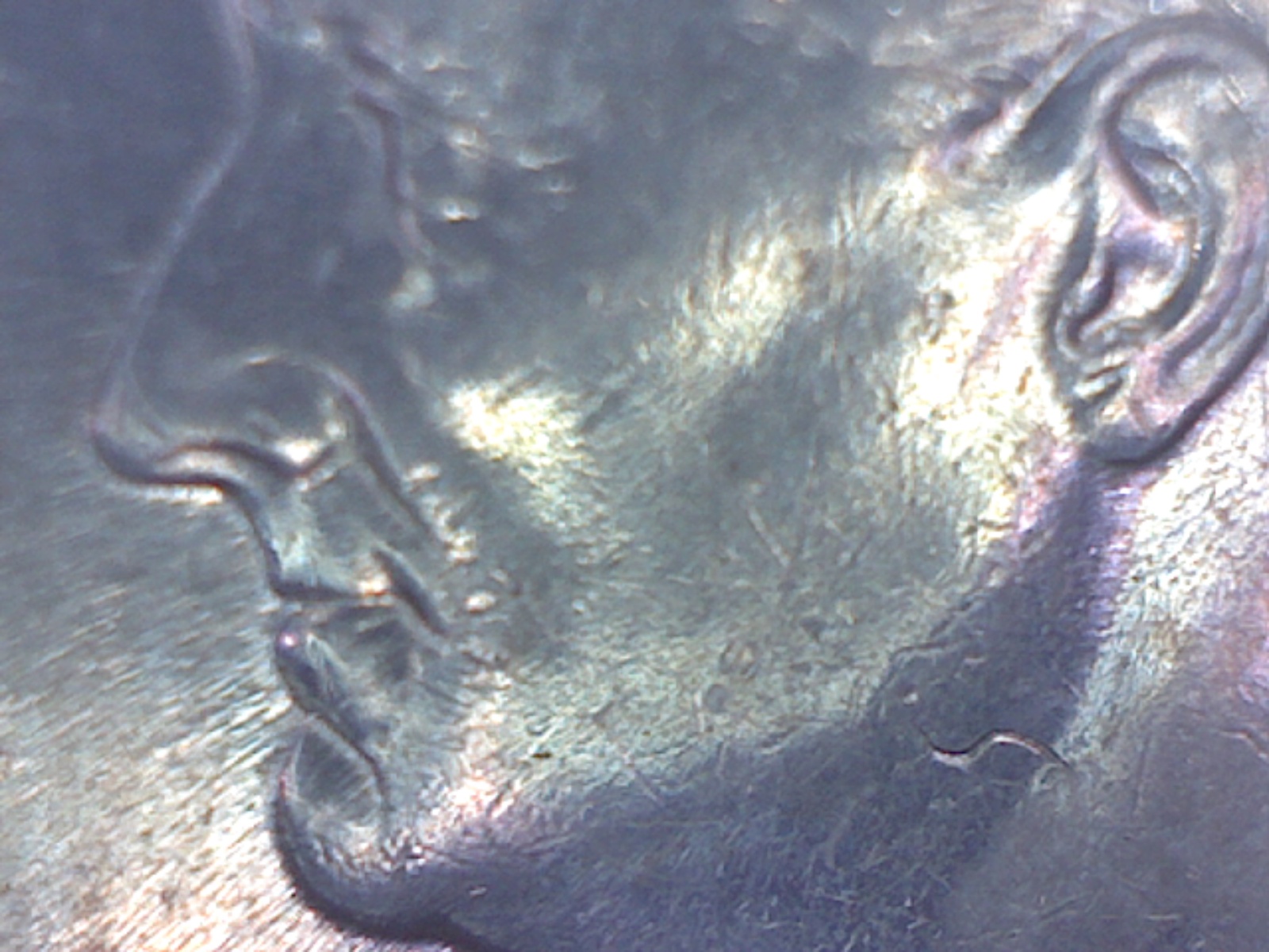 Image282.jpg