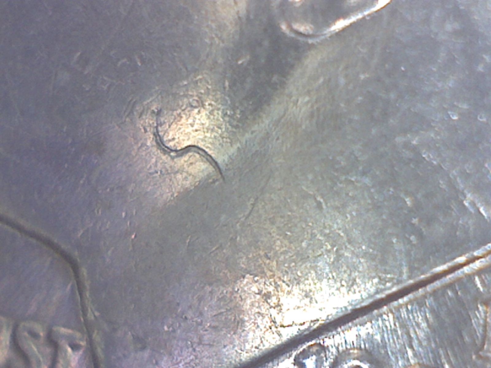Image285.jpg