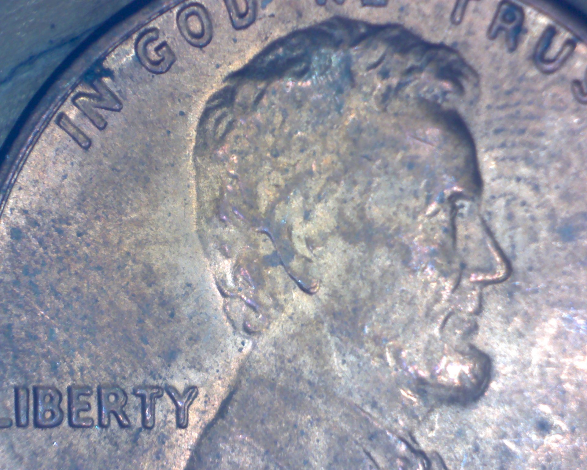 Image29568.jpg