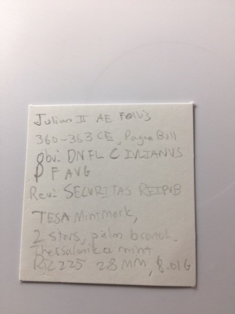 image3.jpeg