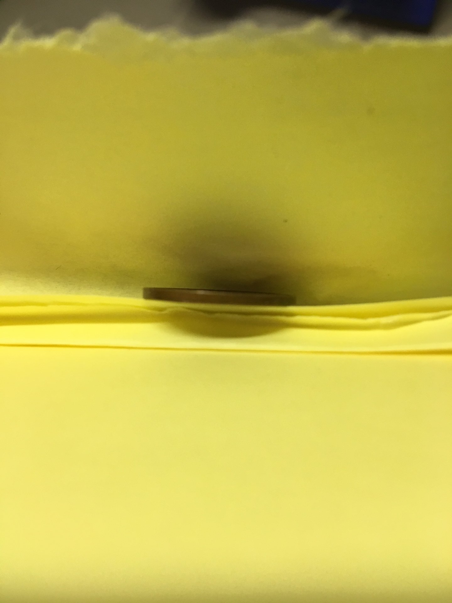 image3.jpeg