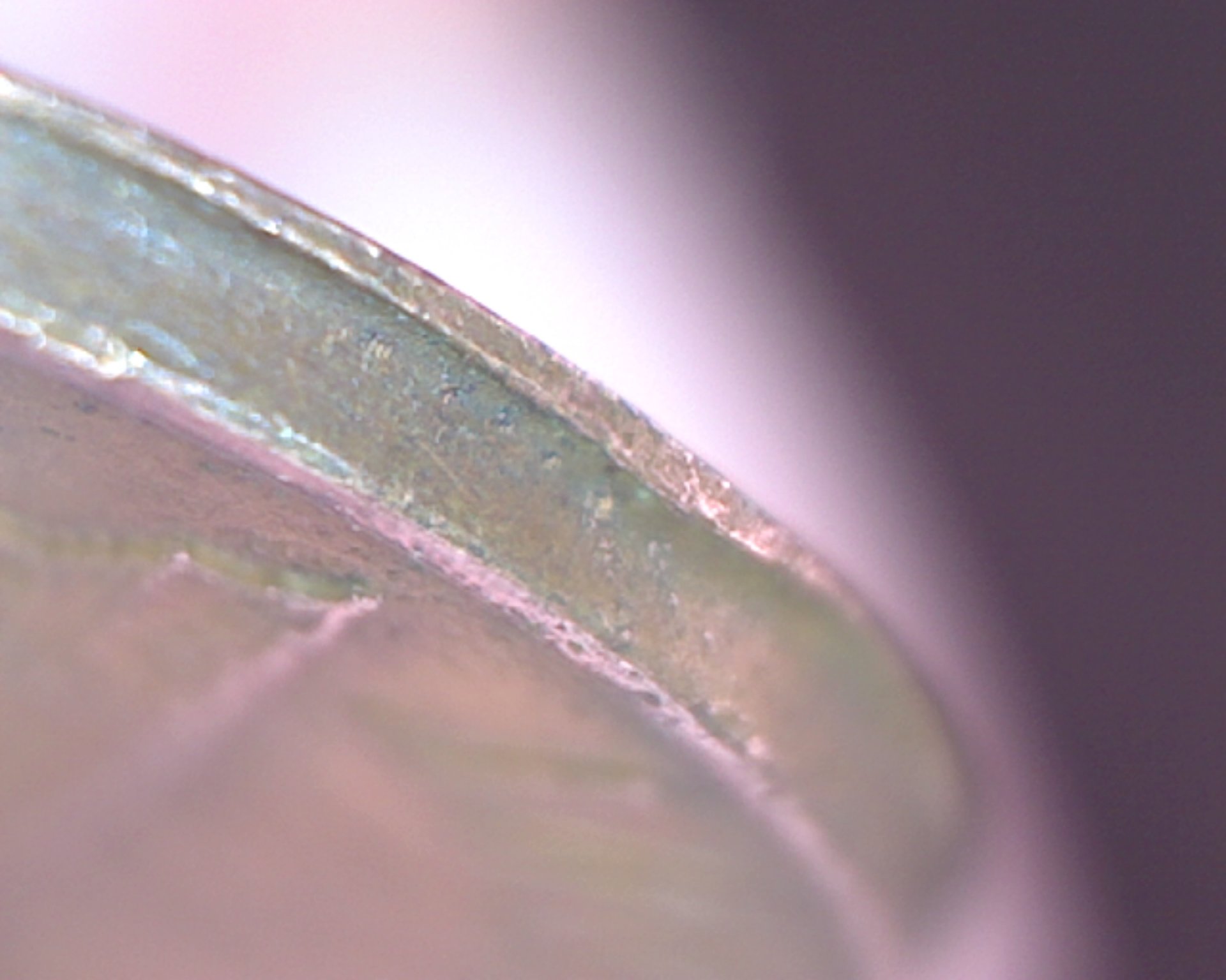Image30.jpg