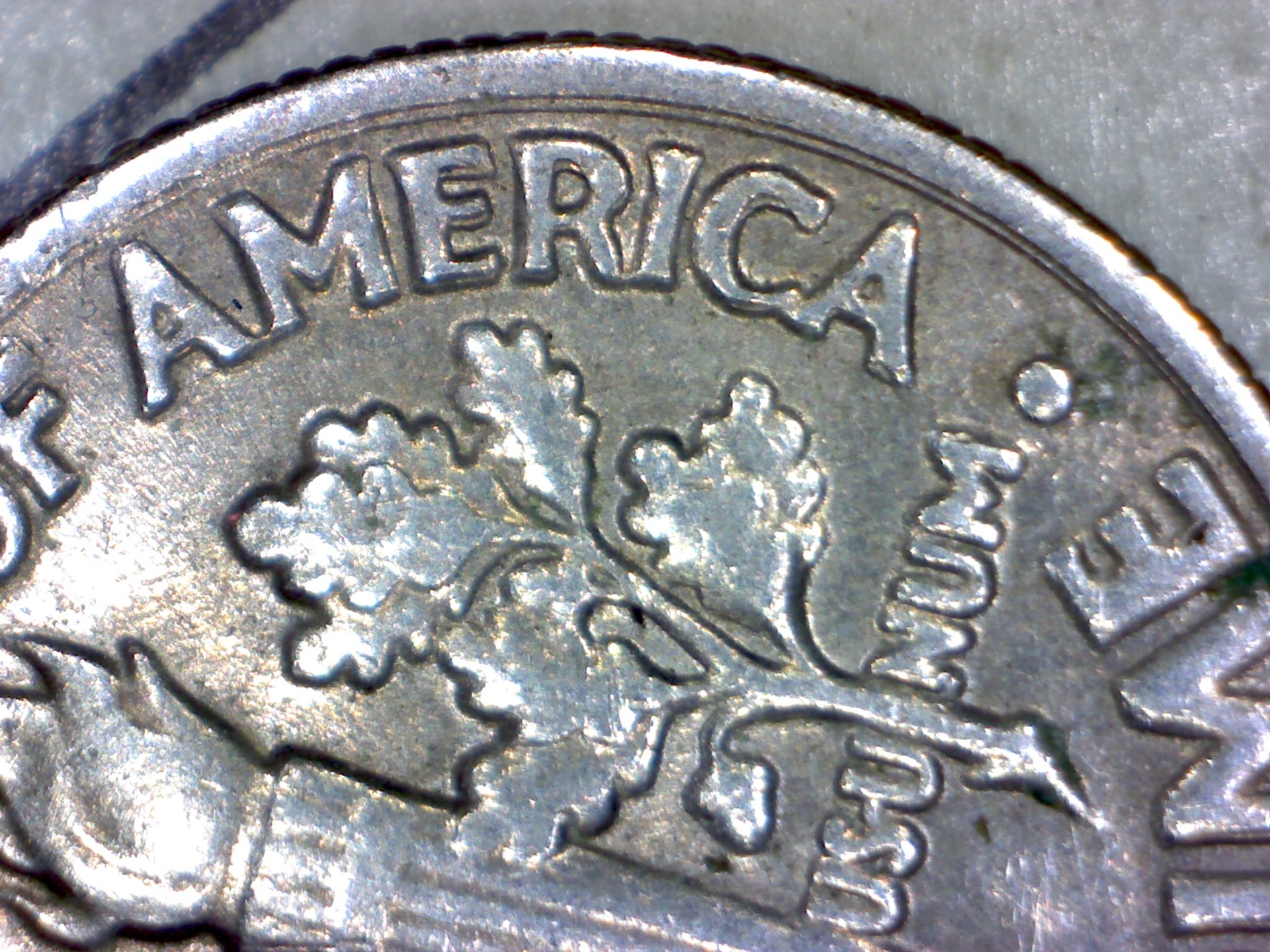 Image300.jpg