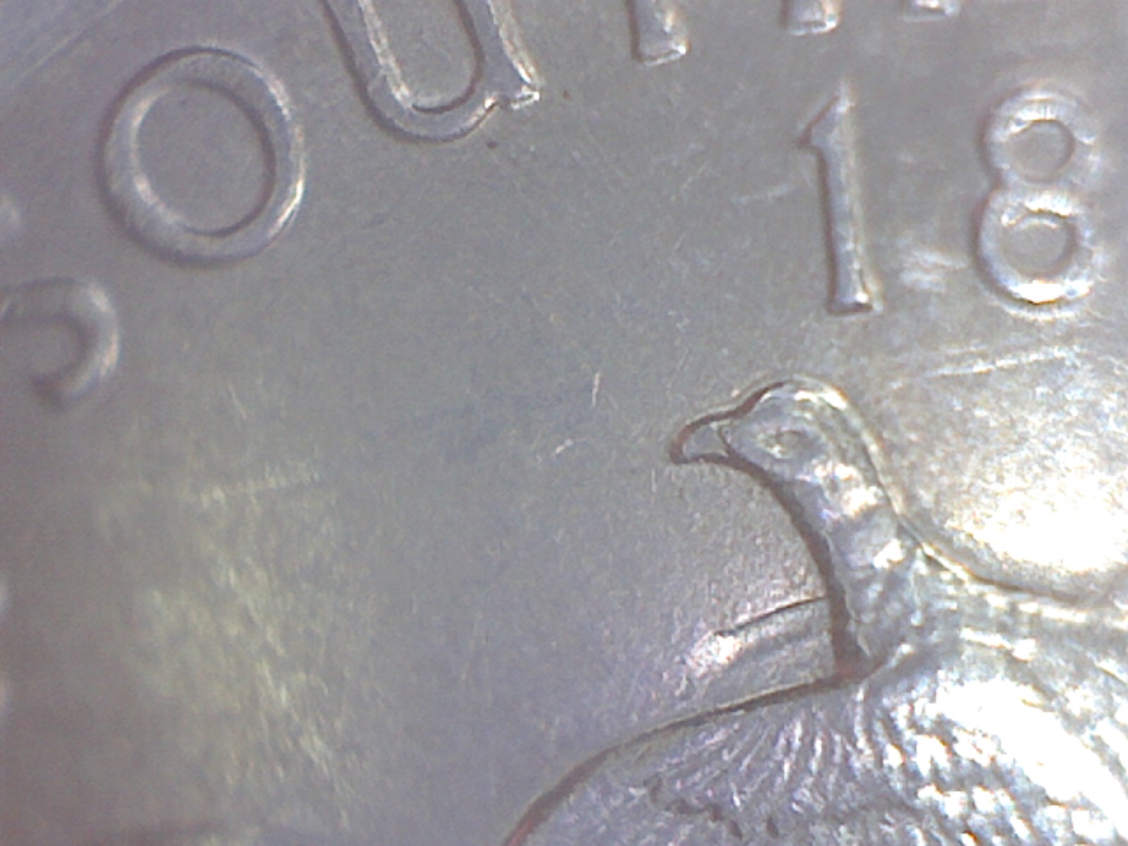 Image301.jpg