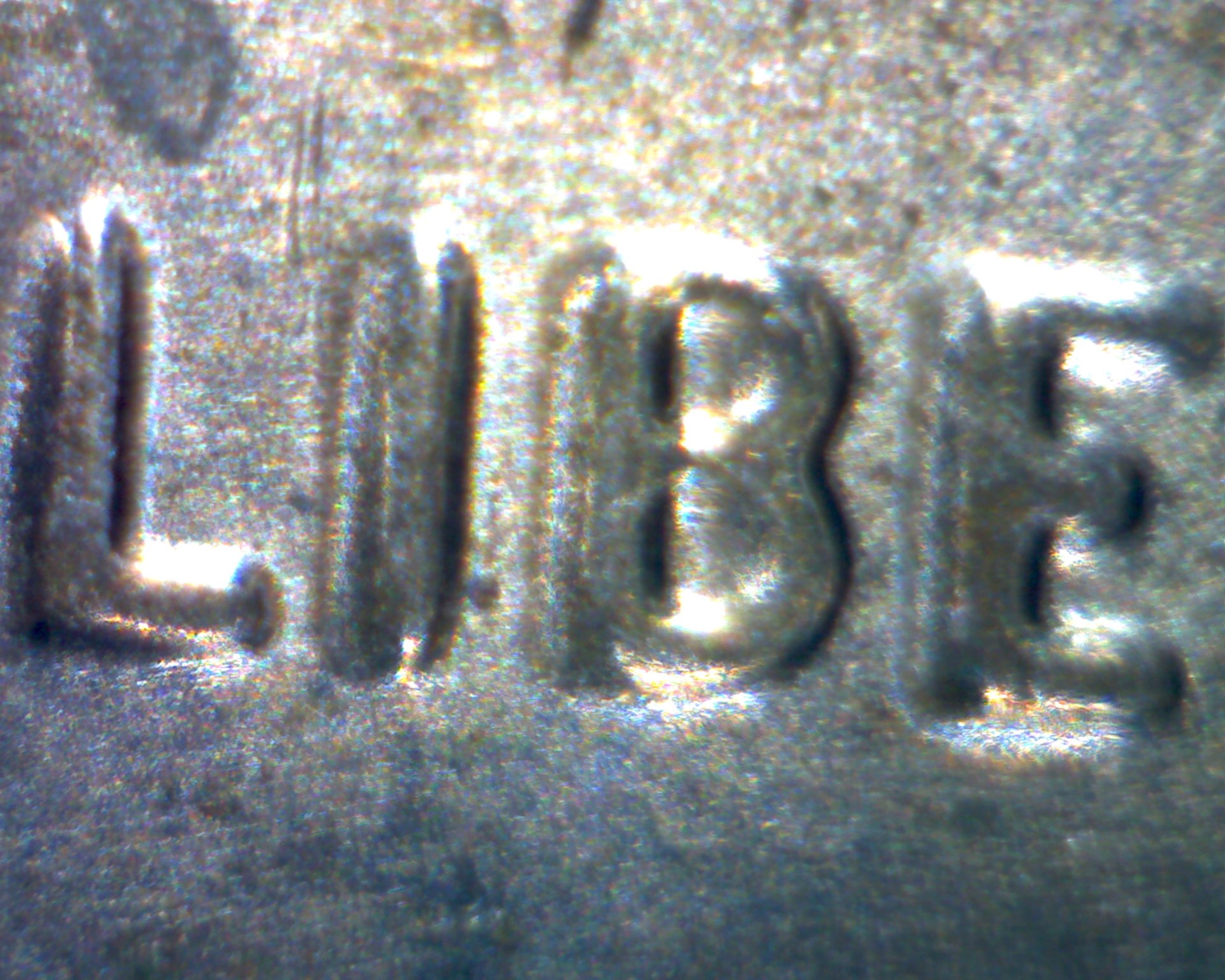 Image301.jpg