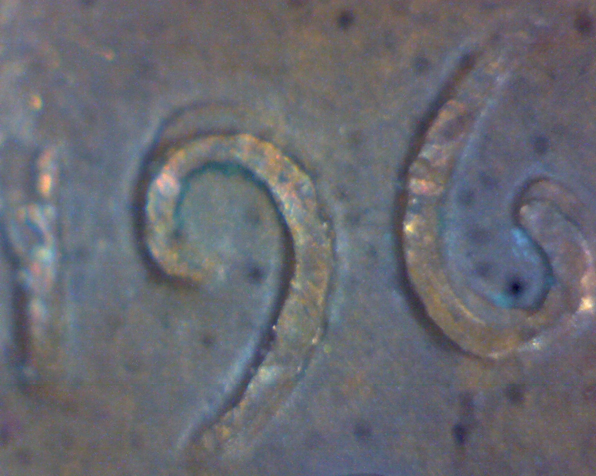 Image30179.jpg