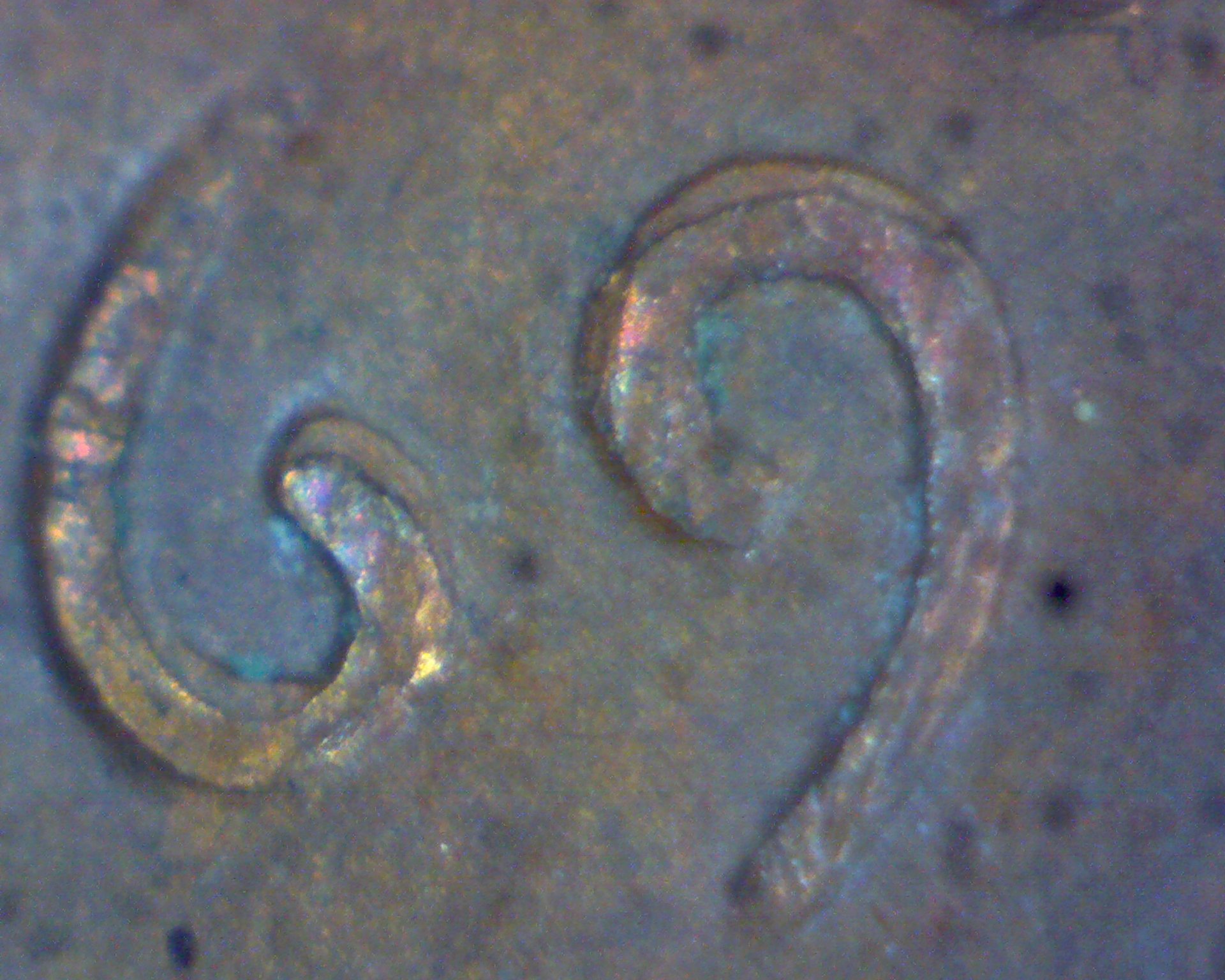 Image30180.jpg
